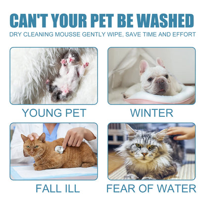 Pet Dry Wash Foam Shampoo for Kittens & Dogs — No Rinse Needed, Eliminates Odors, Smooths Coat, Cleanses Fur