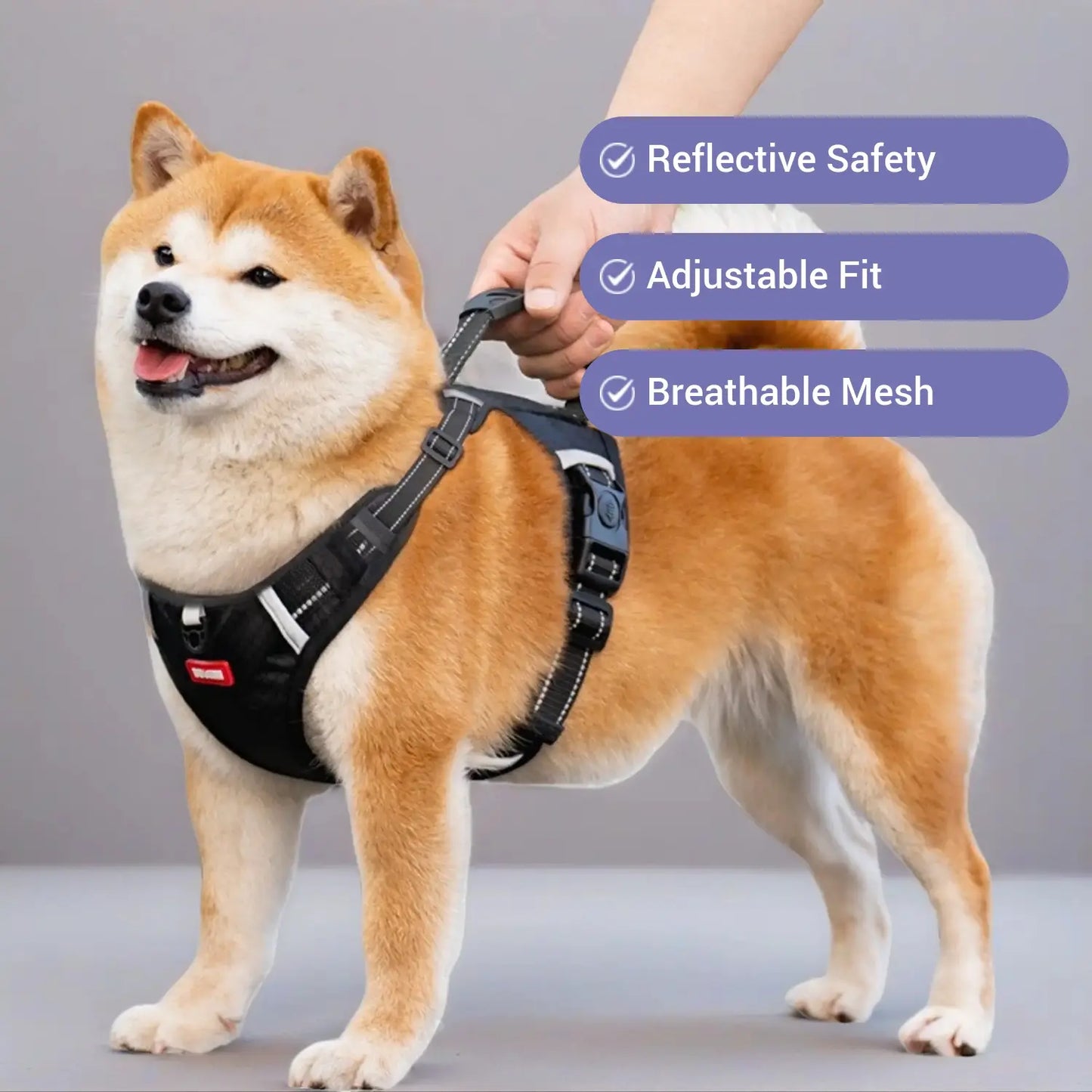 No Pull Reflective Dog Harness Adjustable Breathable Pet Chest Strap for Outdoor Walking